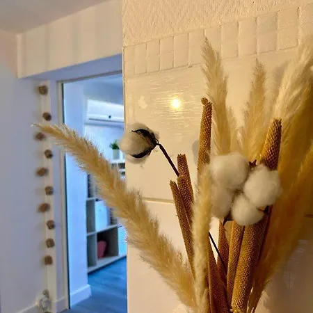 Apartmán Capinede Agde